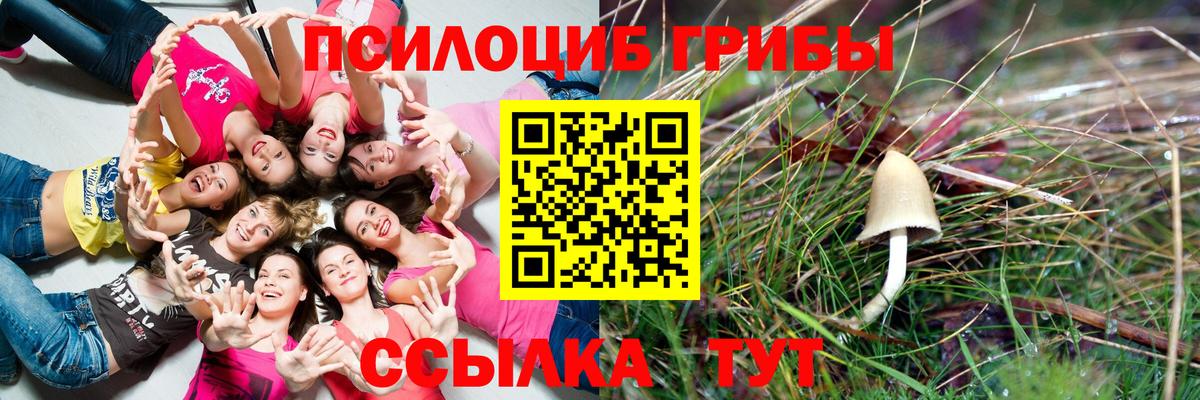 Псилоцибиновые грибы Magic Shrooms Ливны