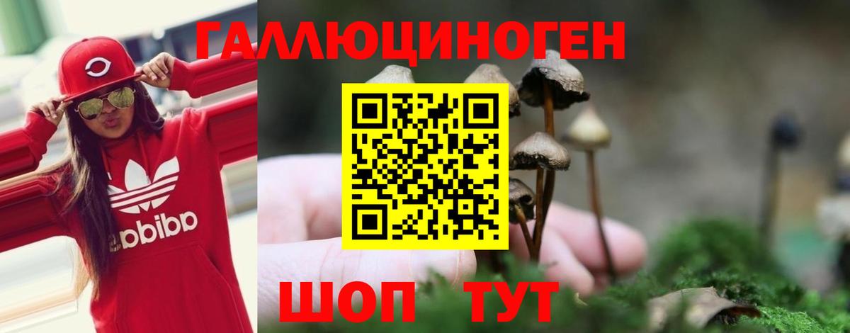 Псилоцибиновые грибы MAGIC MUSHROOMS  Псилоцибиновые грибы Psilocybe  Ливны  Вход с VPN 